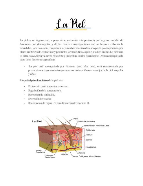 RESUMEN DERMATOLOGIA