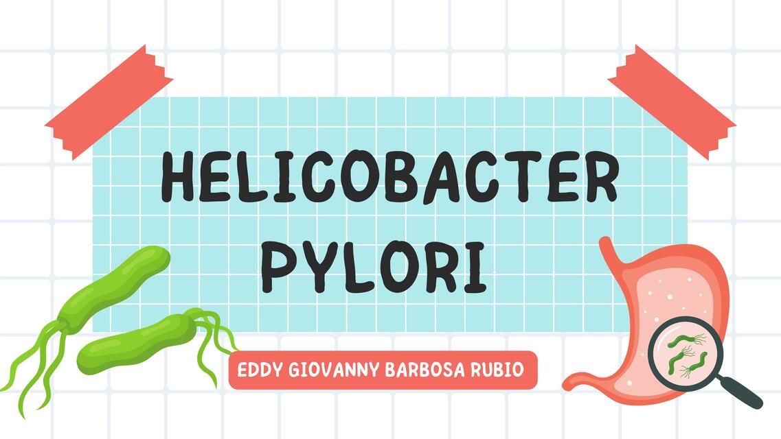 Helicobacter pylori