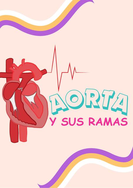 Aorta y sus ramas principales