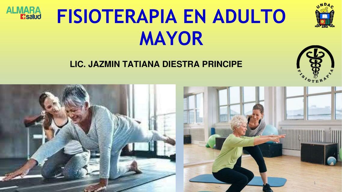 Fisioterapia en adulto mayor 