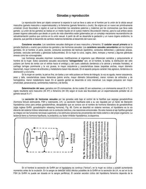 Gonadas y reproducción