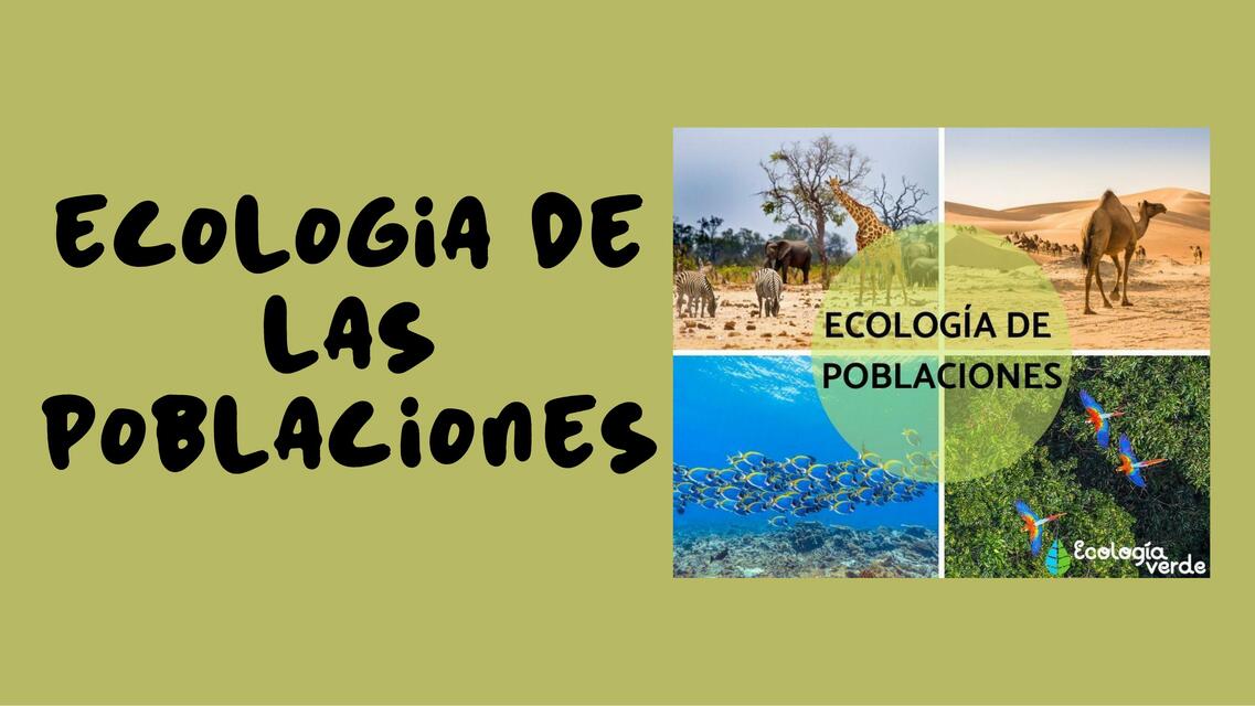 Ecología de las poblaciones | Lolita Bonz | uDocz