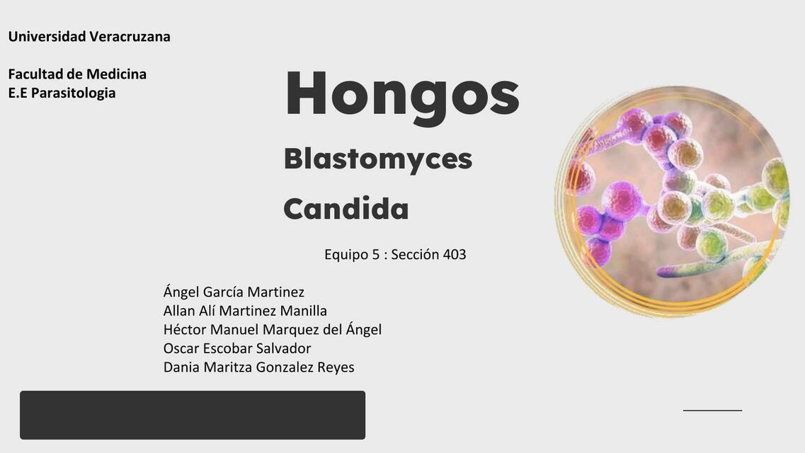 Hongos Equipo 5