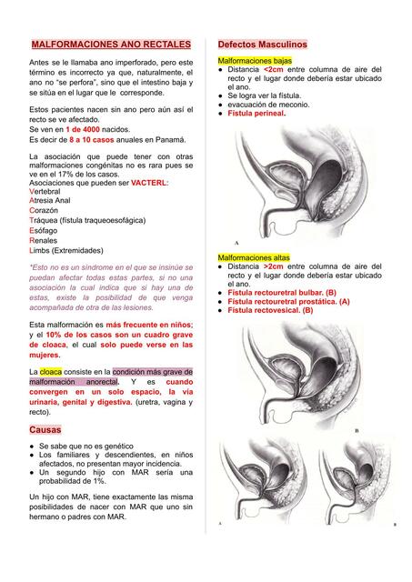 Clase N2 Malformación Anorrectal