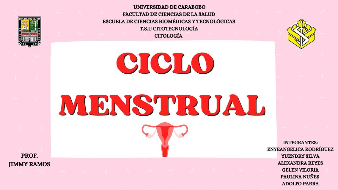 Ciclo menstrual