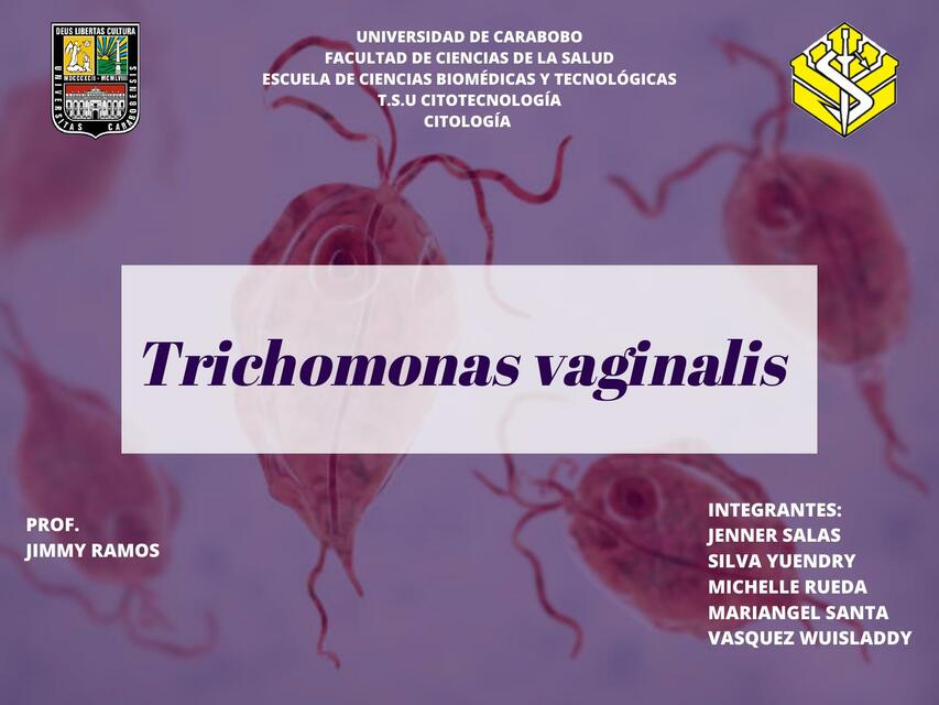 Trichomonas vaginalis