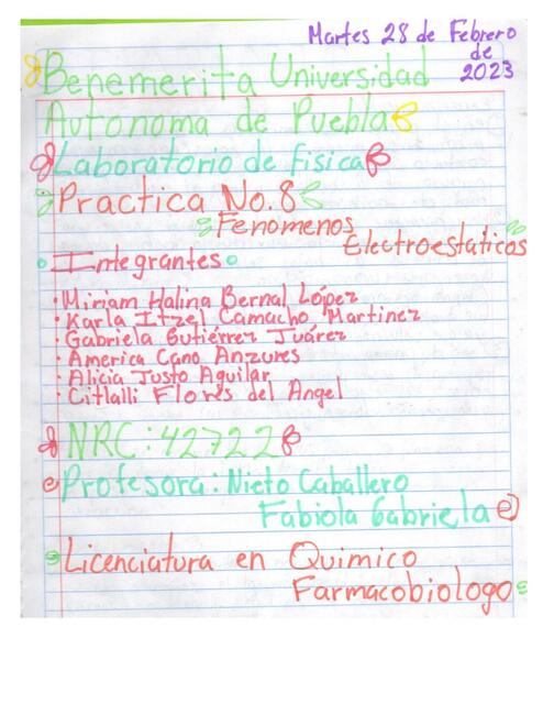 Practica 8 fenómenos electroestáticos