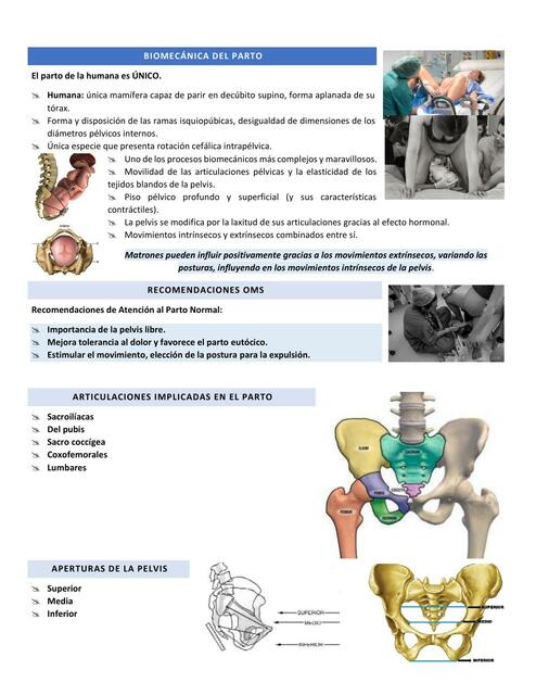 Biomecánica del parto