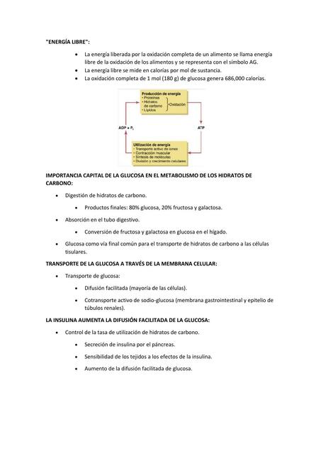 Fisiología de Guyton y Hall Edición 13 Resumen