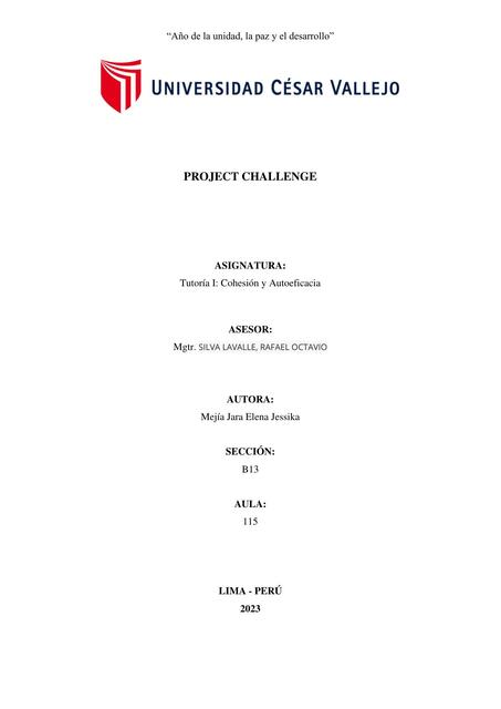 Project Challenge | ELENA | uDocz