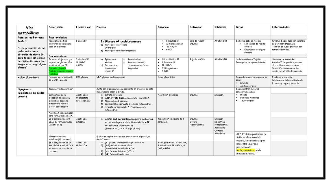 Vías metabólicas 1