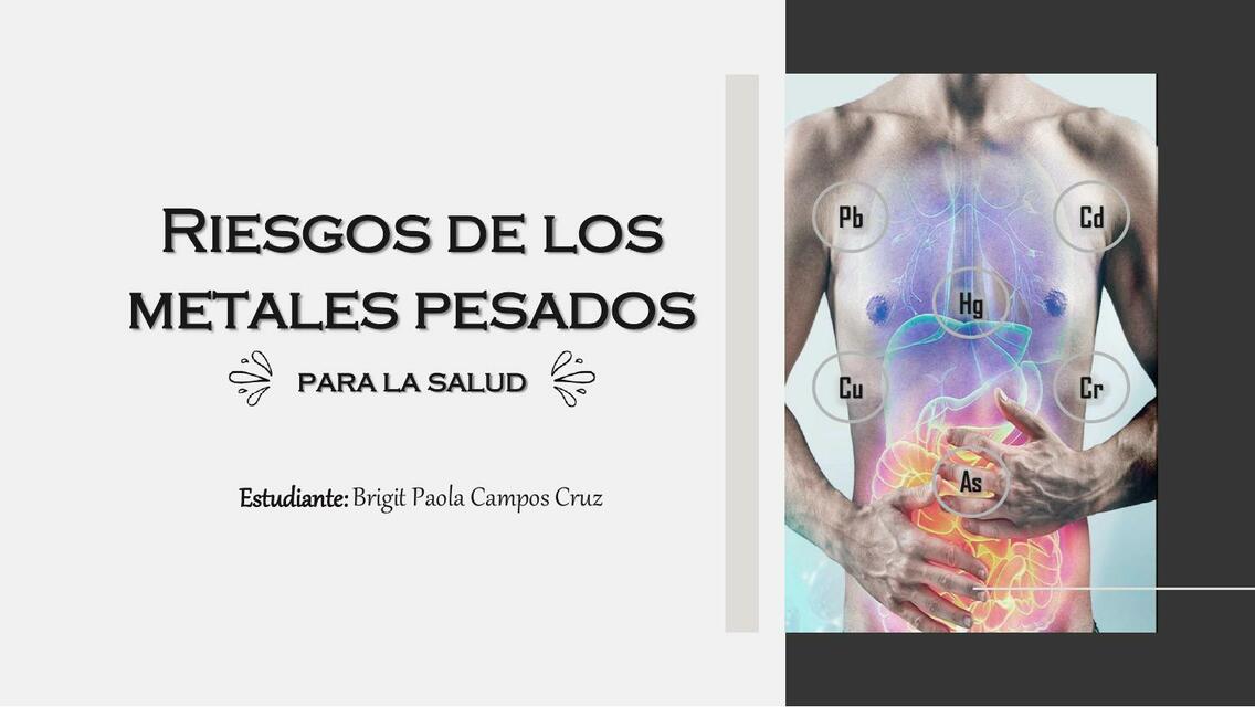 Riesgo de Metales Pesados para la Salud