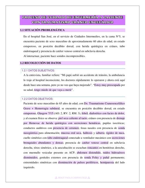 CASO CLÍNICO Proceso de Cuidado de Enfermería a paciente con TEC