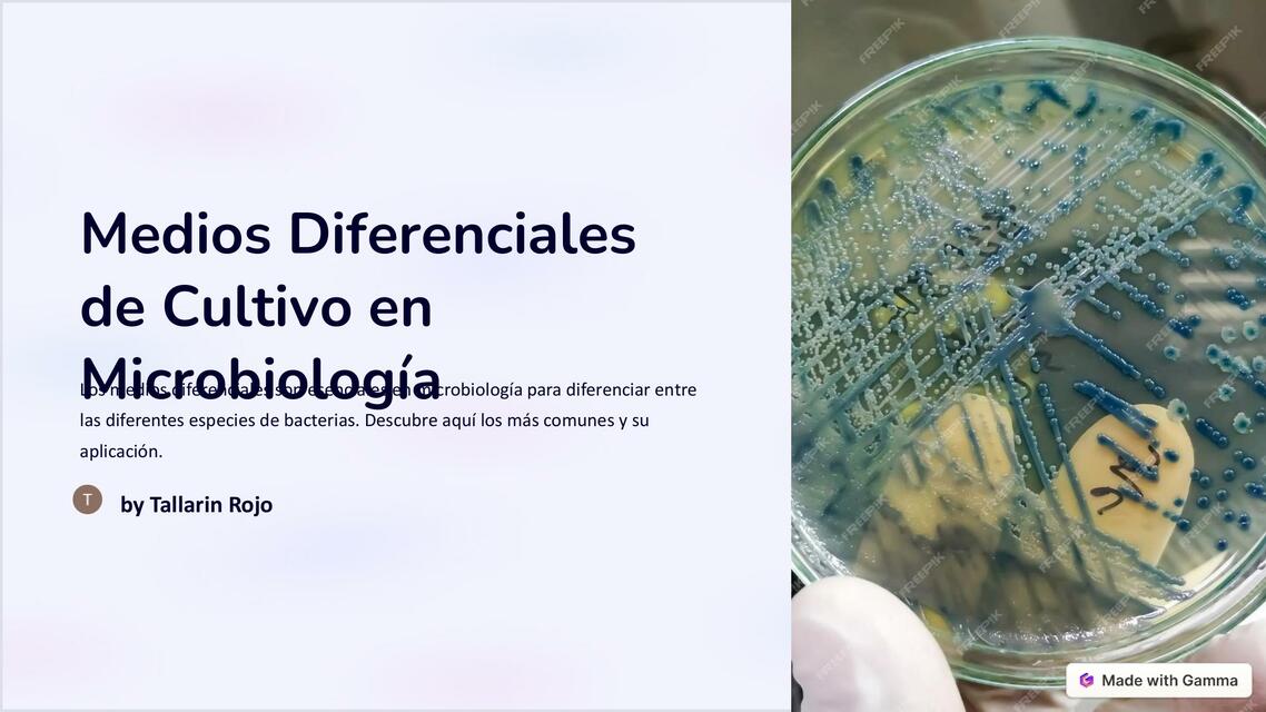 Medios Diferenciales de Cultivo en Microbiologia