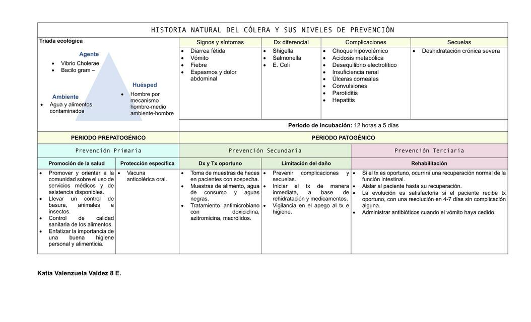 Historia Natural del Cólera y Niveles de Prevención