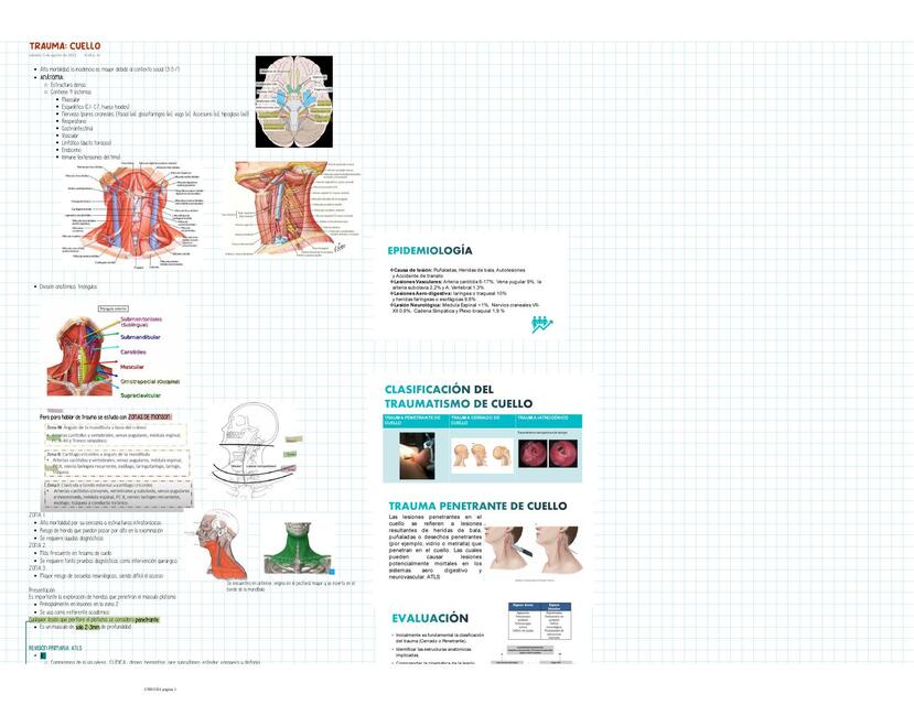 Trauma en cuello apuntes