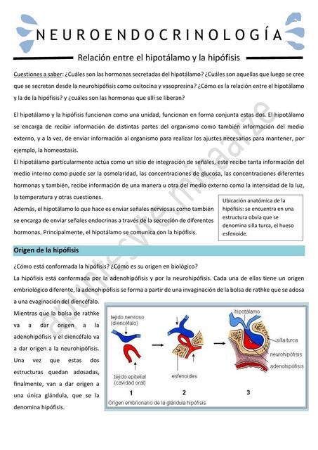 Neuroendocrinología