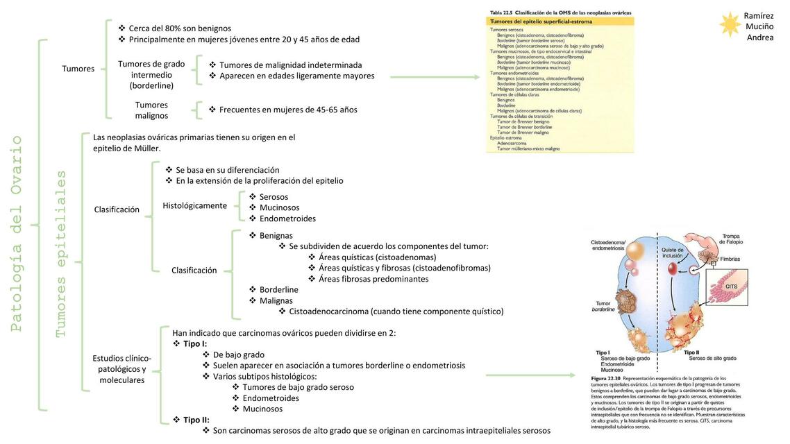 Patología del Ovario