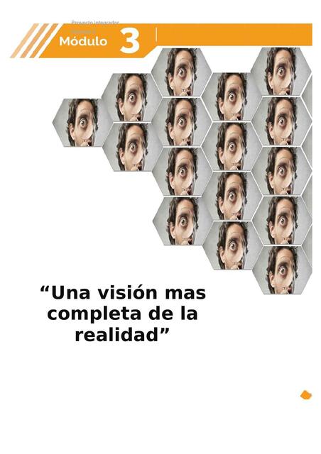 Proyecto integrador una visión más completa de la realidad