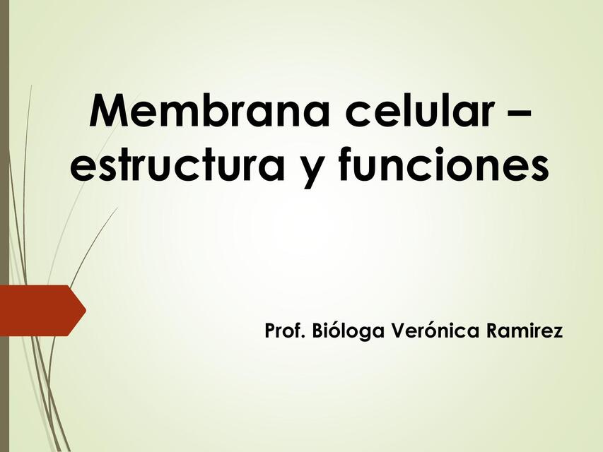 Membrana celular estructura y funciones  