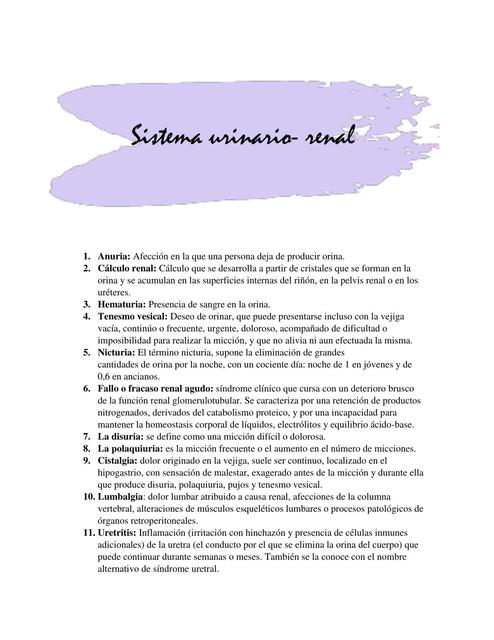 Glosario sistema renal