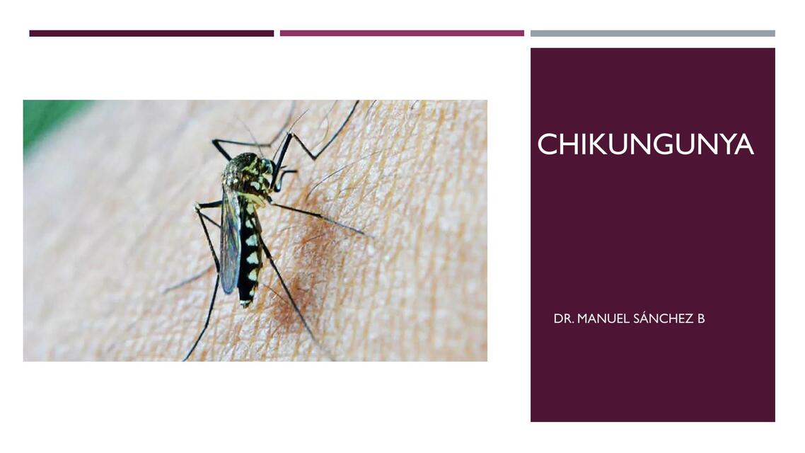 Chikungunya