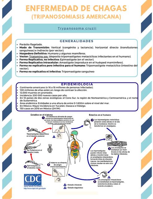 Enfermedad de Chagas Tripanosomiasis americana