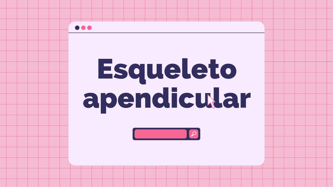 Esqueleto apendicular