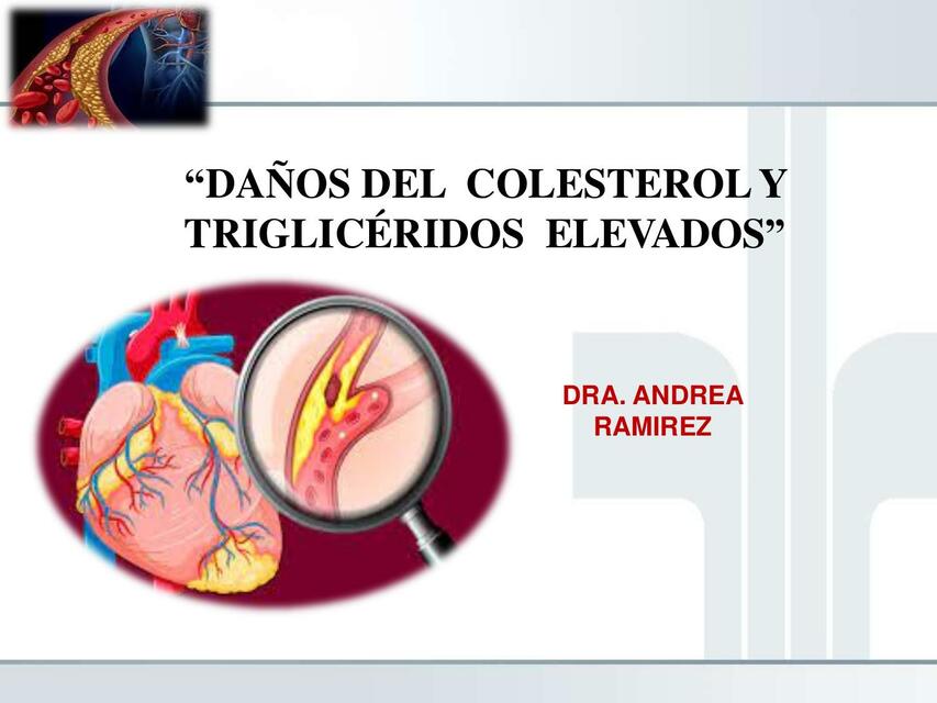 DAÑOS DEL  COLESTEROL Y   TRIGLICÉRIDOS  ELEVADOS