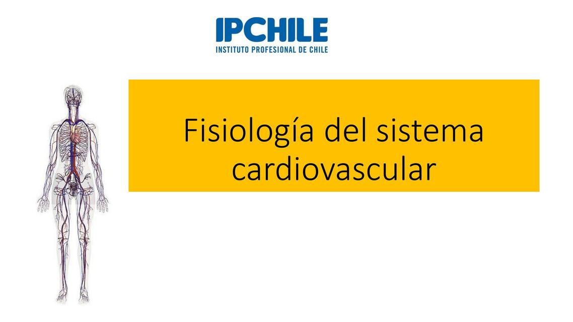 Fisiología del Sistema Cardiovascular