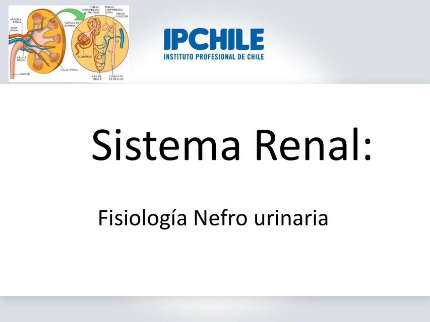 Fisiología Nefro urinaria  