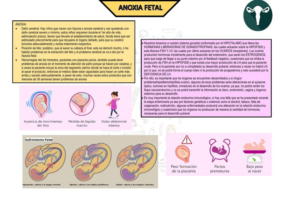 Anoxia Fetal Mishelle Chavez Udocz