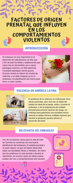 Factores de origen prenatal que influyen en los comportamientos violentos