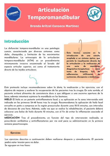 Articulación Temporomandibular 