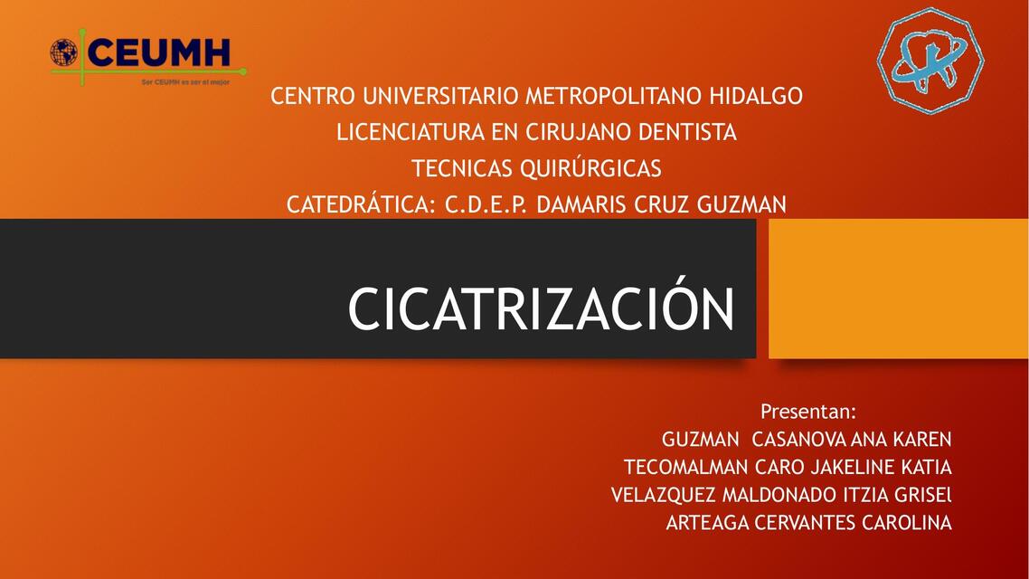 Cicatrización  