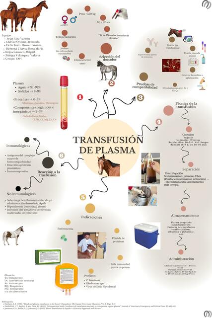 Transfusión de Plasma en Equinos