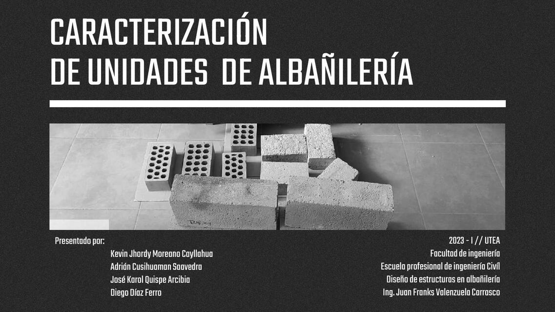 CARACTERIZACIÓN DE UNIDADES DE ALBAÑILERÍA