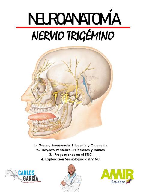 Folleto de Nervio Trigémino por Carlos Andrés García