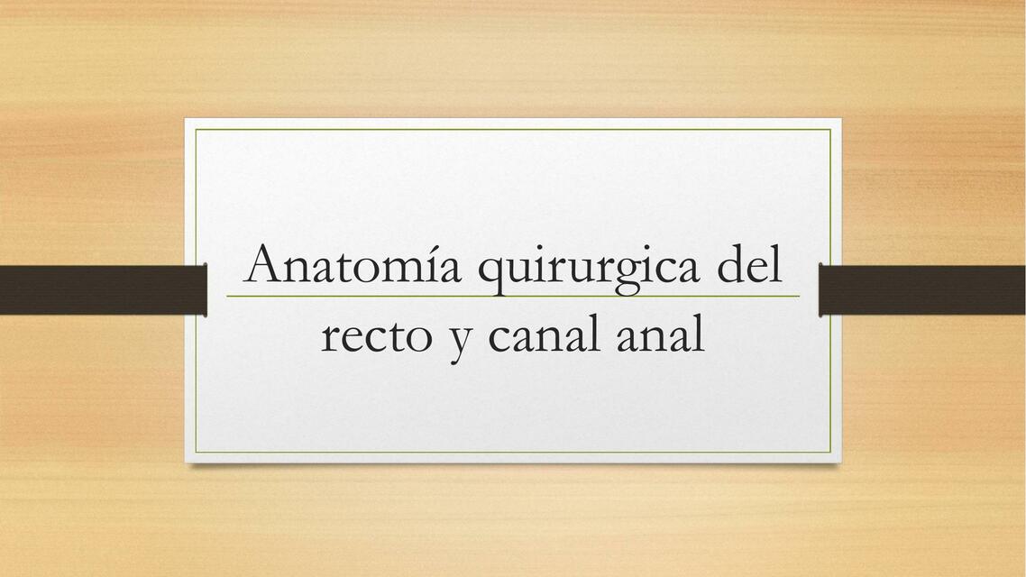 Anatomía quirurgica del recto y canal anal | MiddleMedic | uDocz