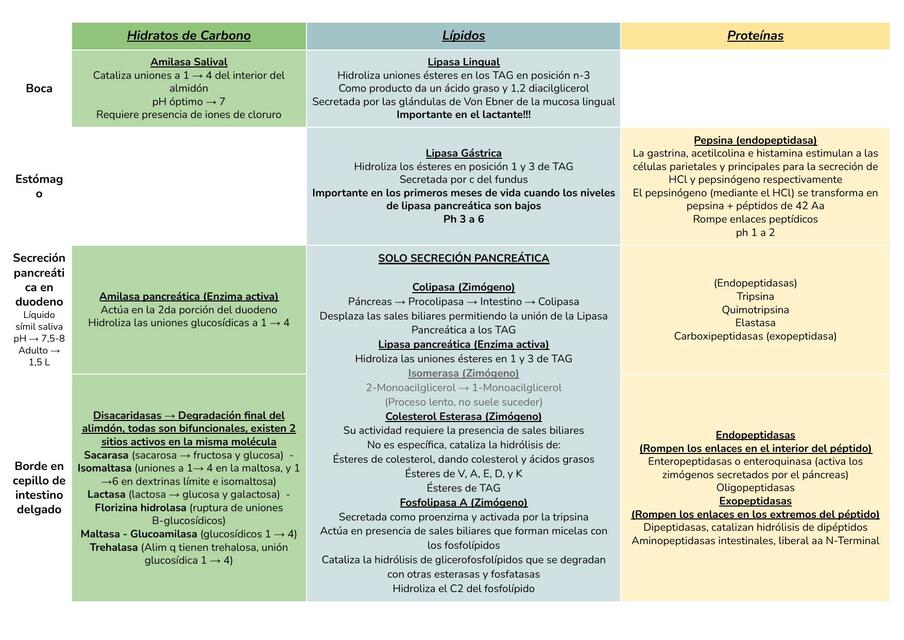 Hidratos de Carbono