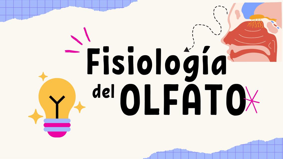 Fisiología del olfato 