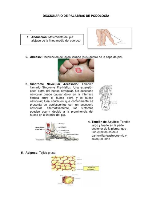 Diccionario de Palabras de Podología 