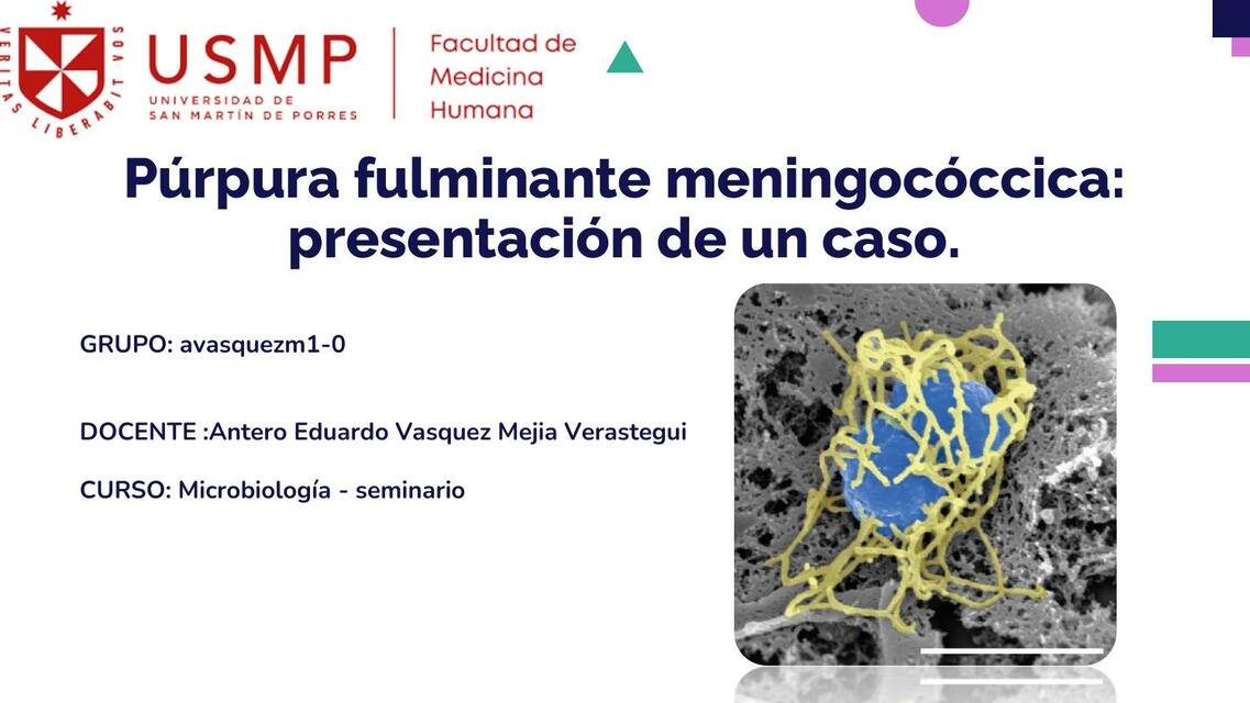 Expo S3 Sem (Púrpura fulminante meningocóccica) - Microbiología