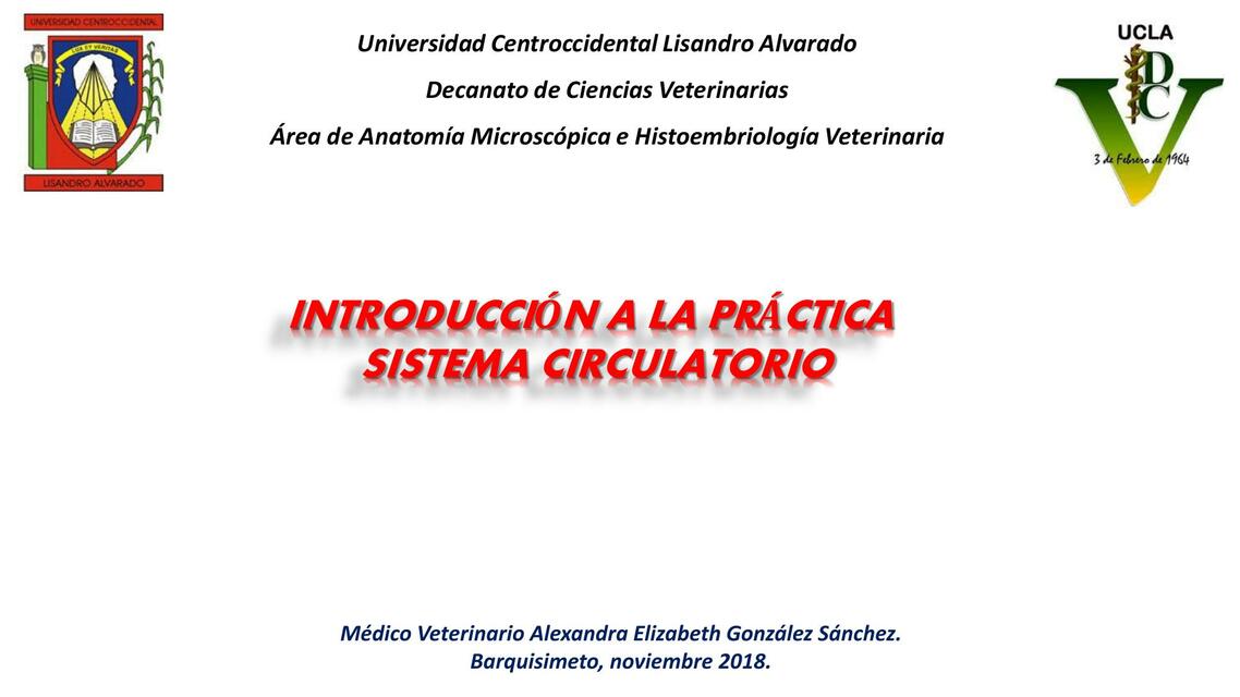 sistemacardiovascular practica