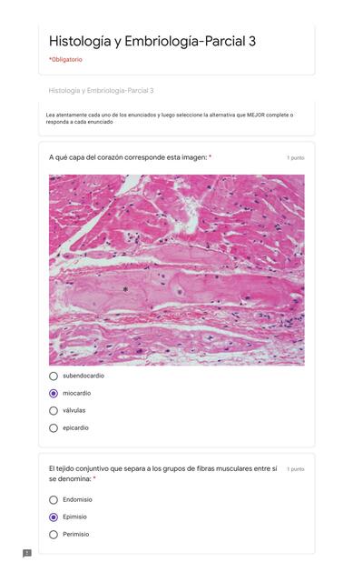 Histología y Embriología Parcial 3