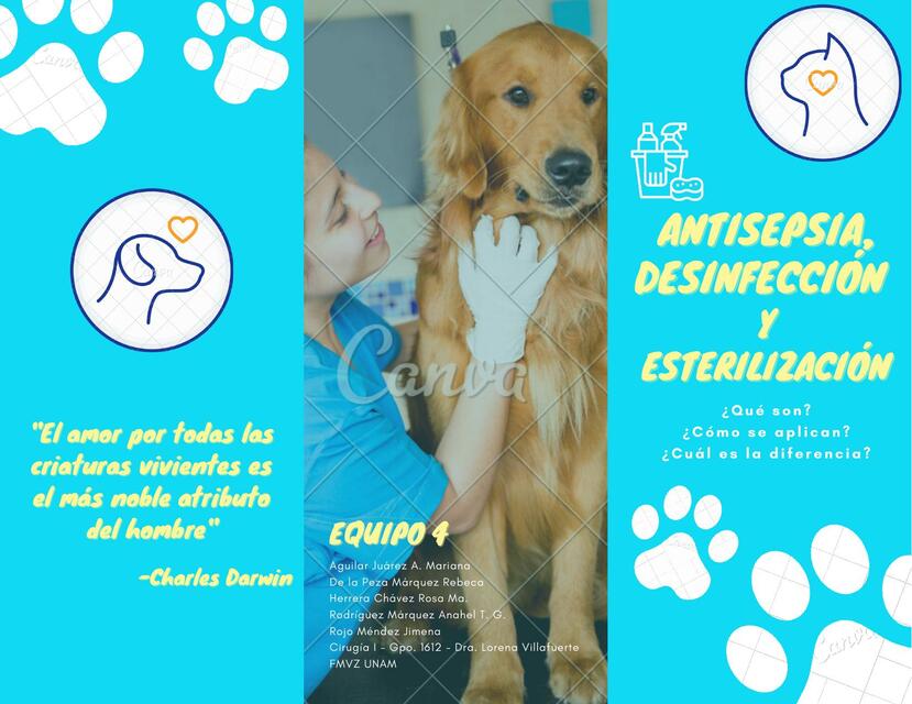 Asepsia, Desinfección y Esterilización