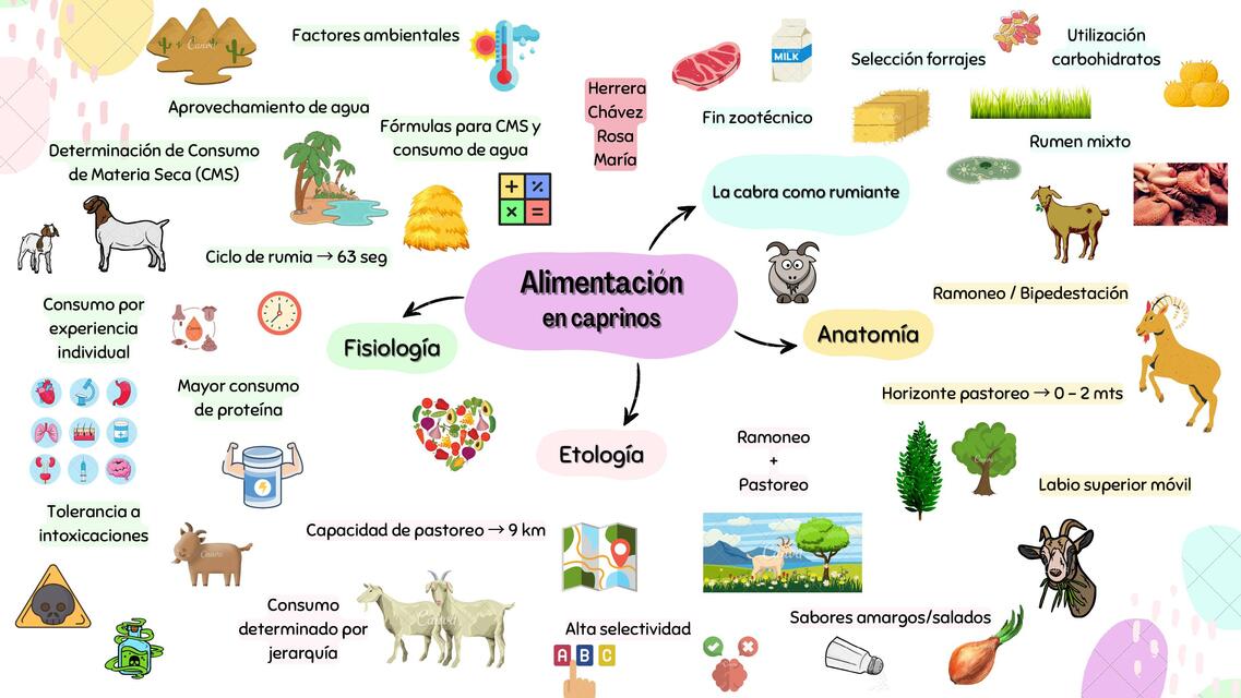 Alimentación en cabras