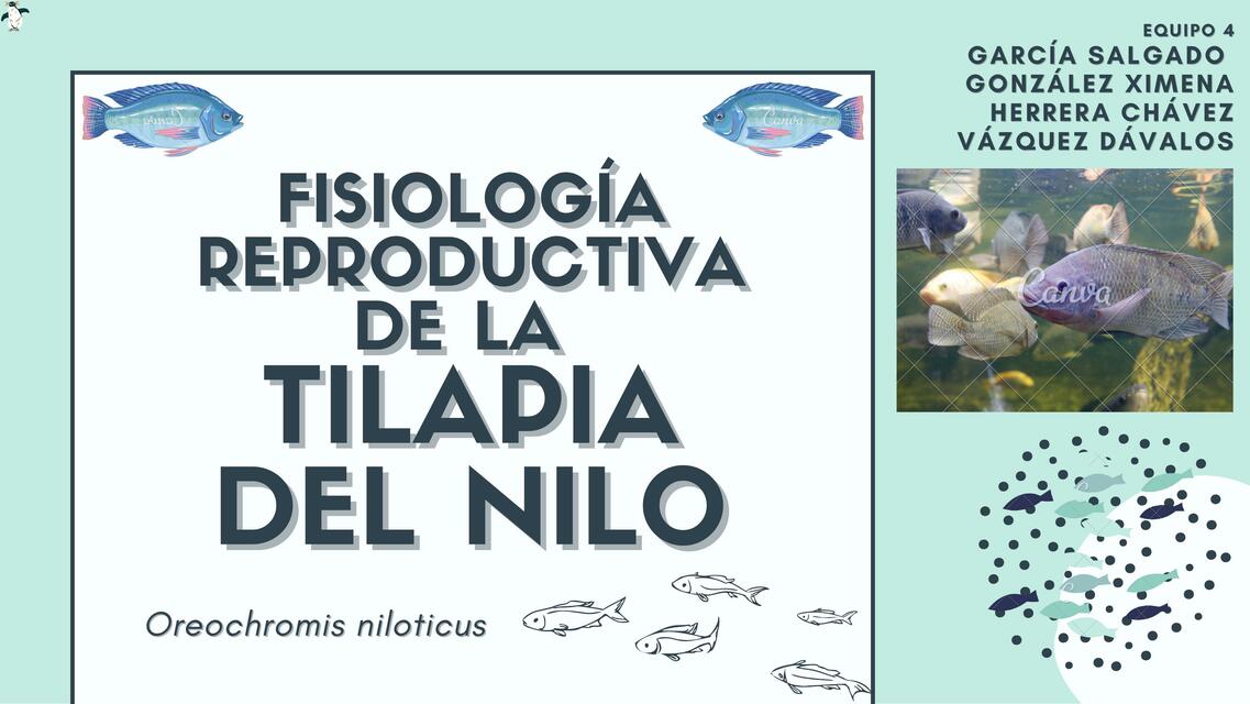 Fisiología reproductiva de la Tilapia del Nilo