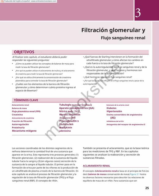 Filtración glomerular yFlujo sanguíneo rena