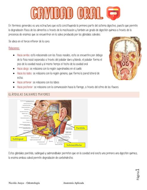 Cavidad Oral